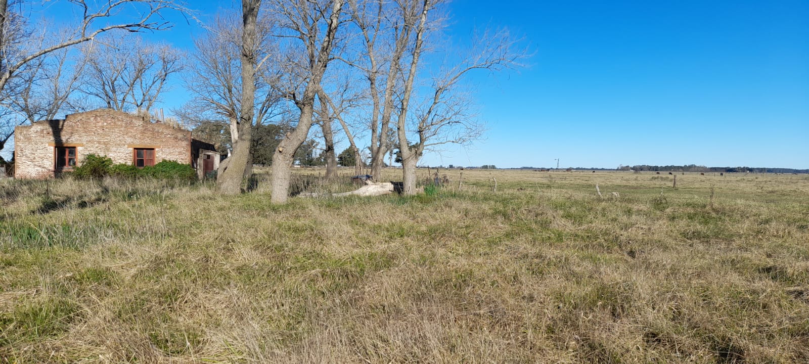 Campo en Venta en Monte