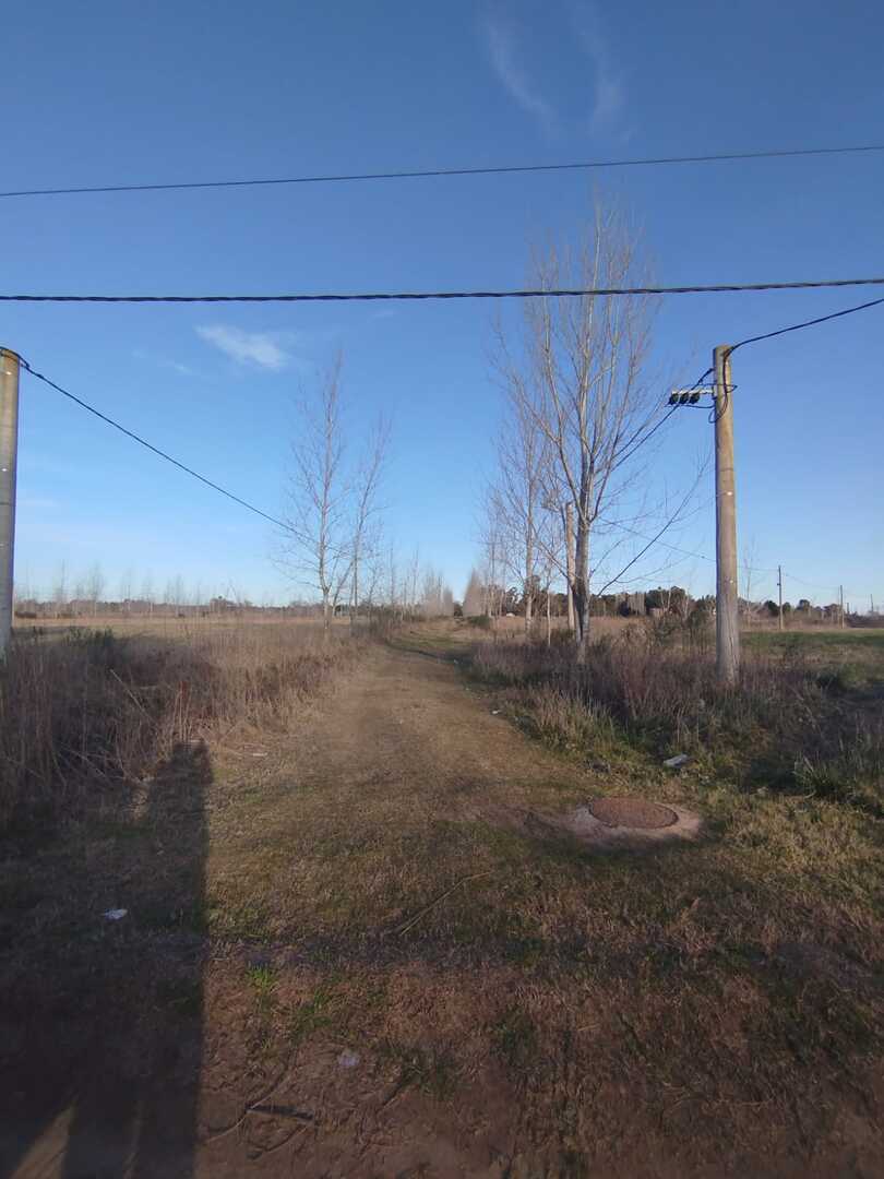 Terrenos y Lotes en Venta en Monte