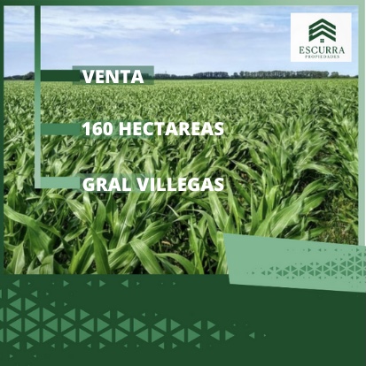 Campo en Venta en General Villegas