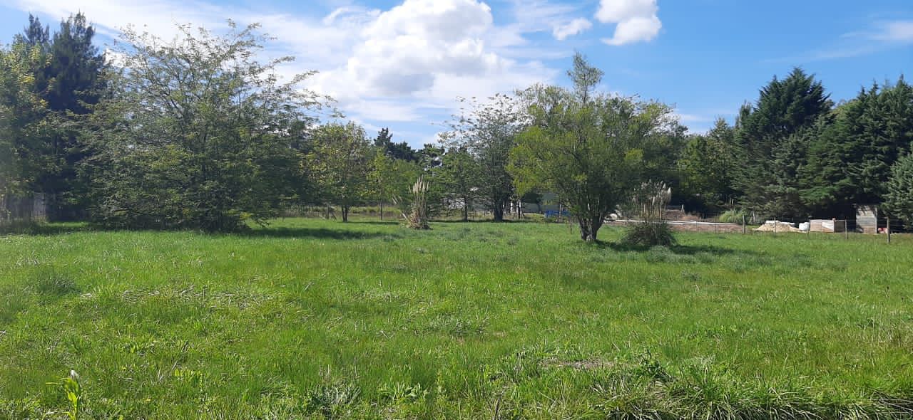 Terrenos y Lotes en Venta en La Plata