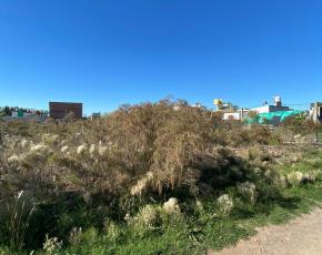 Terrenos y Lotes en Venta en Villa Garibaldi
