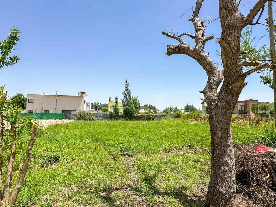 Terrenos y Lotes en Venta en Villa Garibaldi
