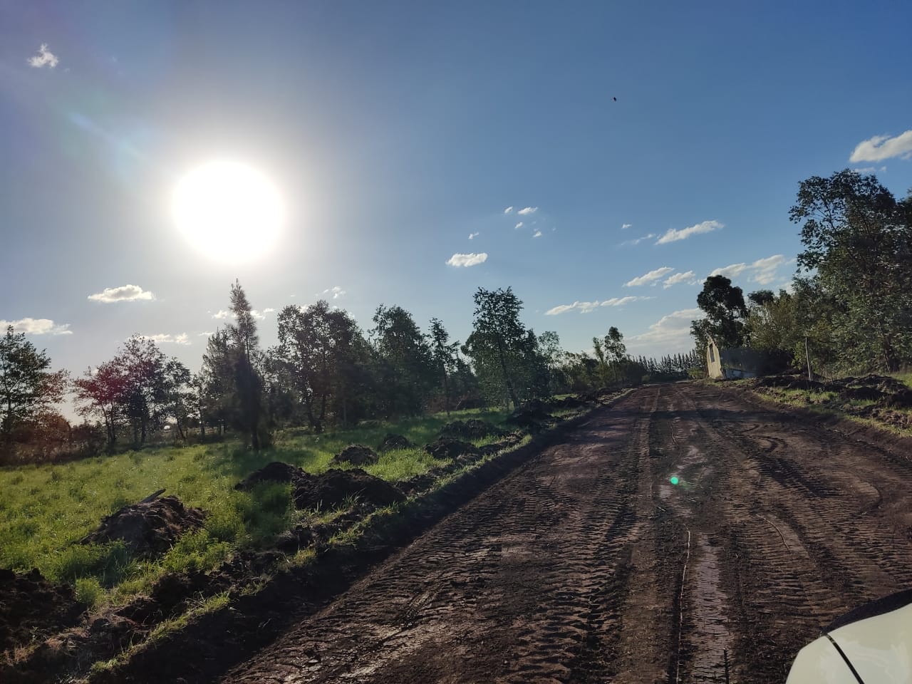 Terrenos y Lotes en Venta en Olmos, Lisandro ,ap.