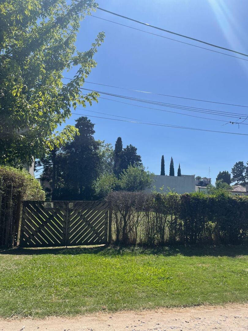 Terrenos y Lotes en Venta en Arturo Segui