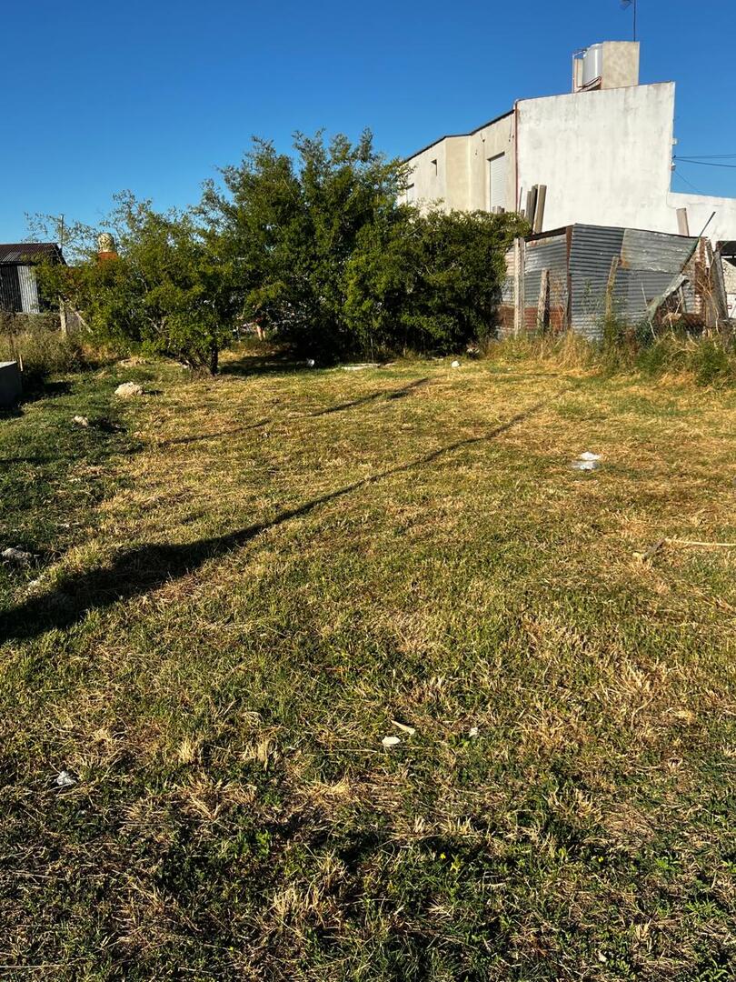 Terrenos y Lotes en Venta en Berisso