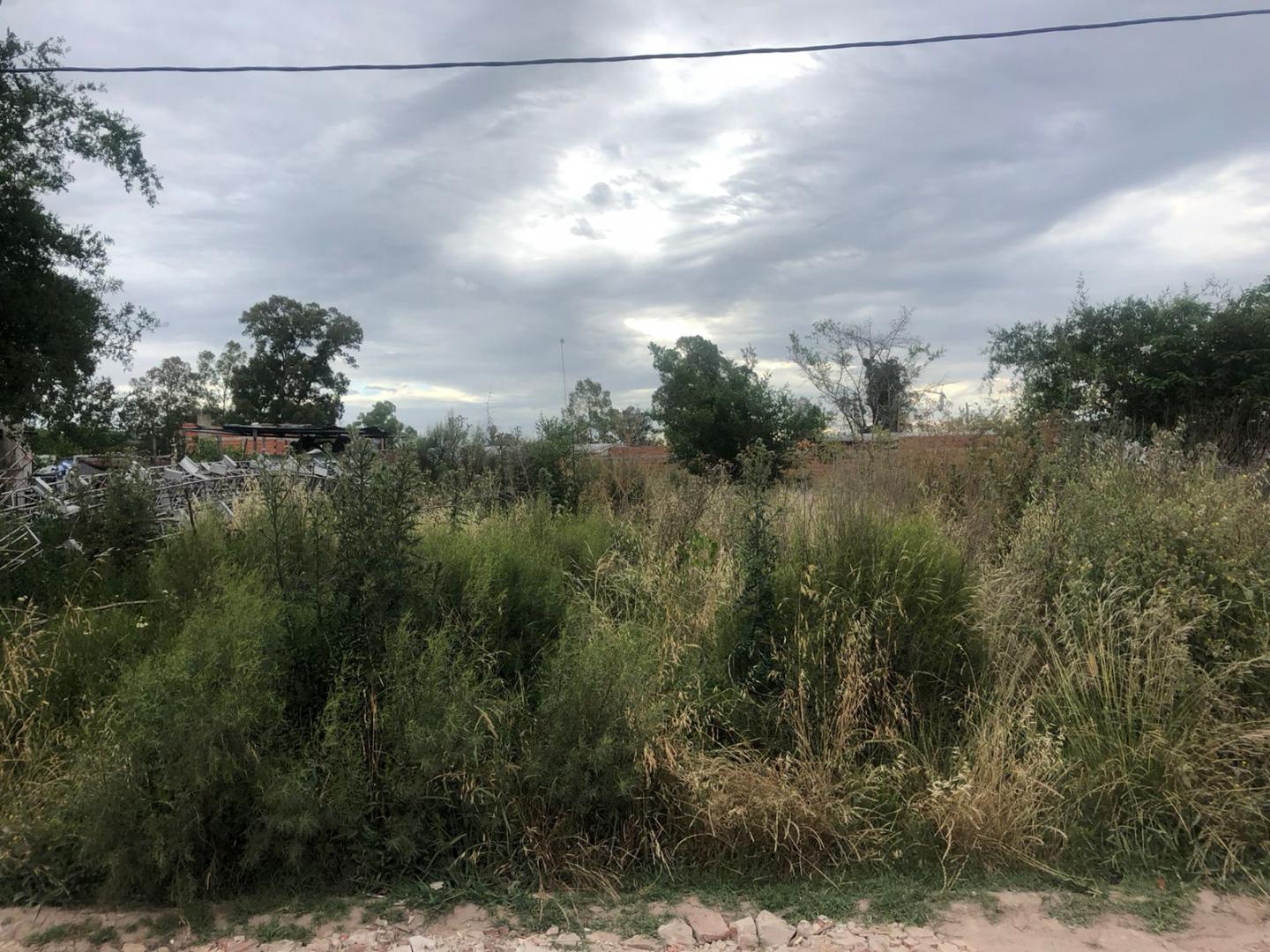 Terrenos y Lotes en Venta en La Plata