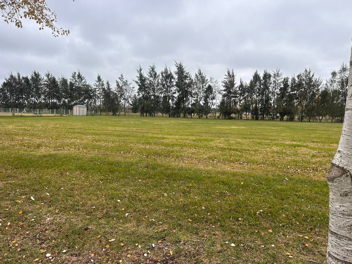 Terrenos y Lotes en Venta en Gomez