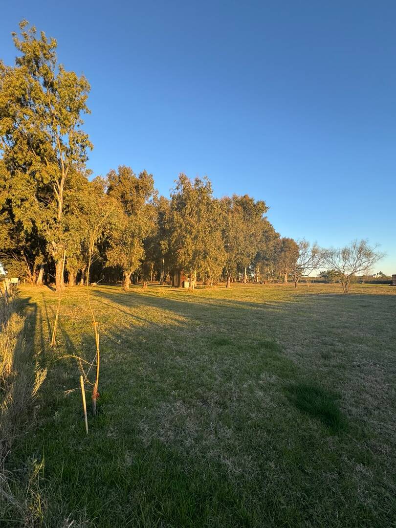 Terrenos y Lotes en Venta en Berisso