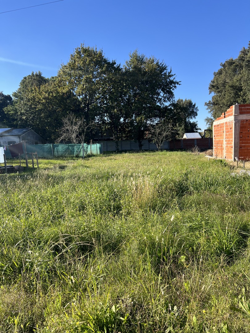 Terrenos y Lotes en Venta en La Plata