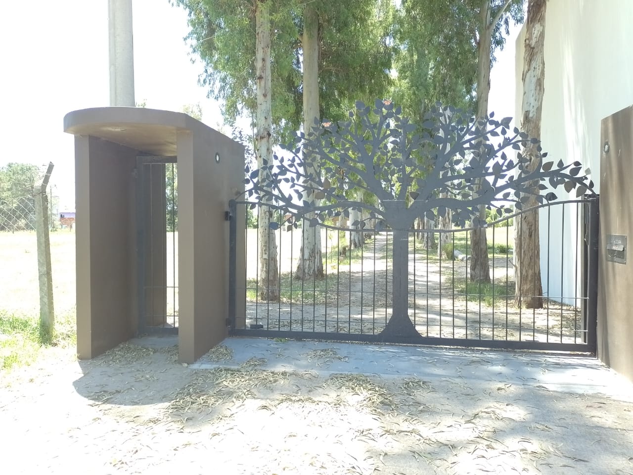Terrenos y Lotes en Venta en Villa Elvira