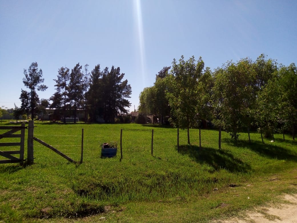 Terrenos y Lotes en Venta en Coronel Brandsen