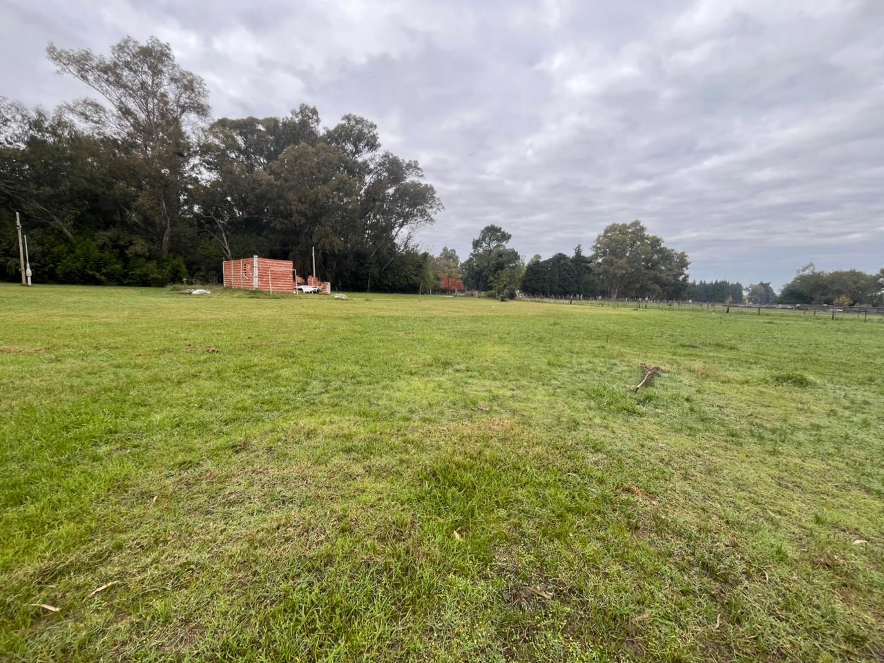 Terrenos y Lotes en Venta en Coronel Brandsen