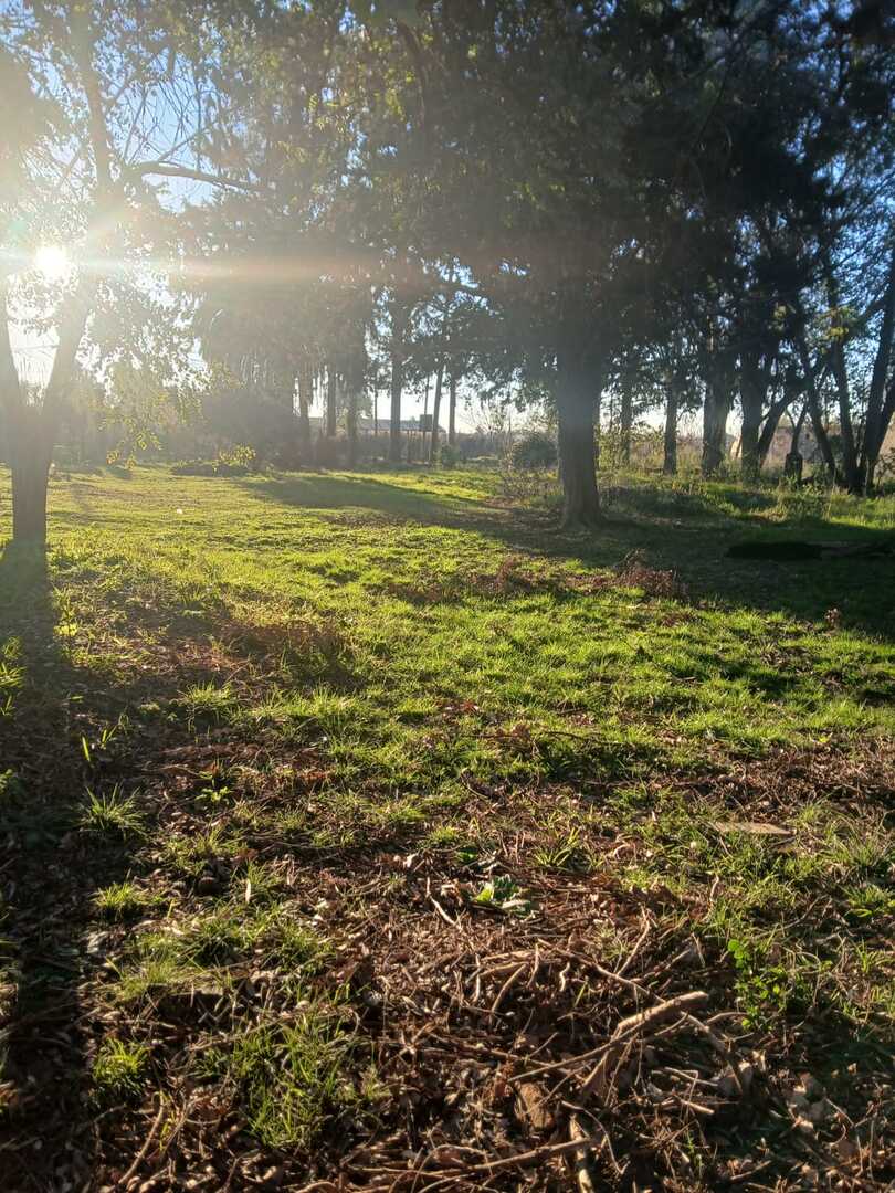 Terrenos y Lotes en Venta en Olmos, Lisandro ,ap.