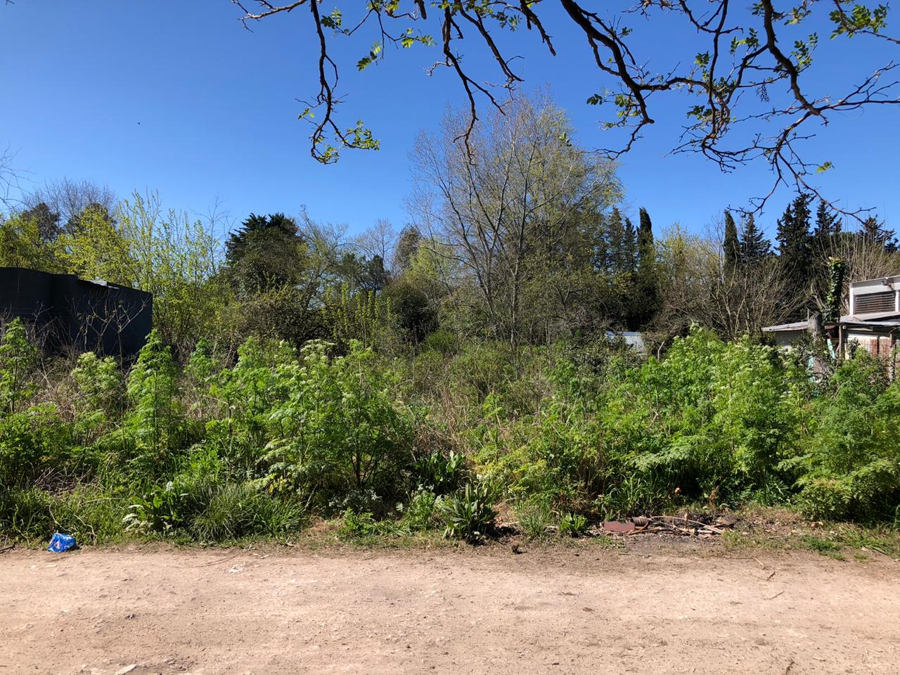 Terrenos y Lotes en Venta en Villa Elisa