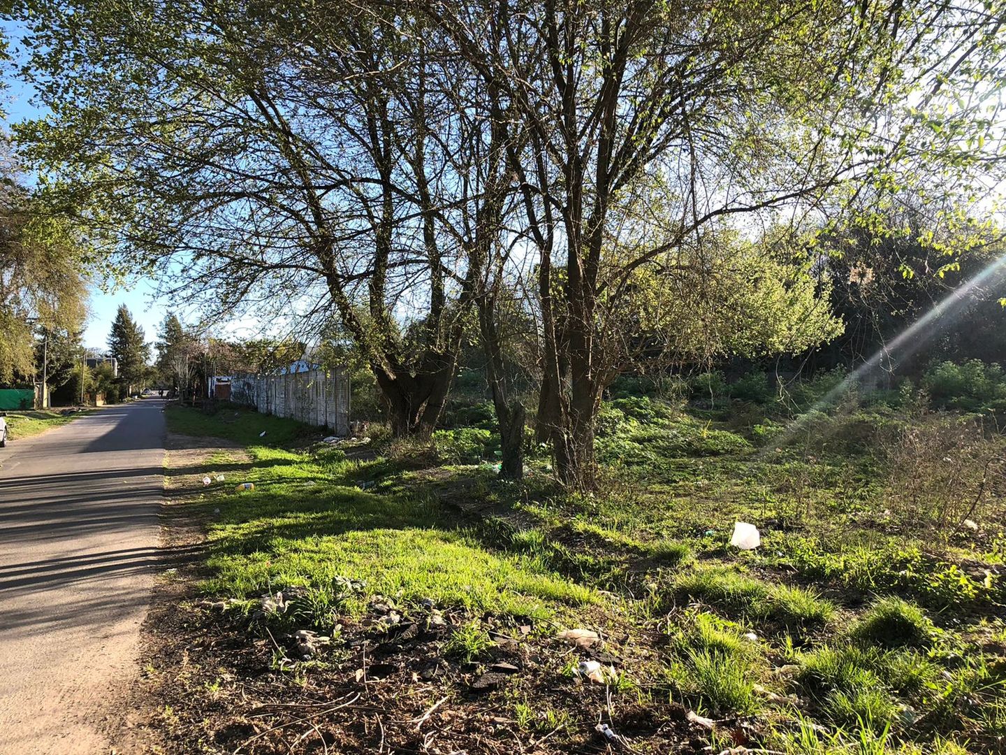 Terrenos y Lotes en Venta en Villa Elisa
