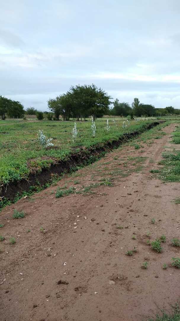 Terrenos y Lotes en Venta en La Plata